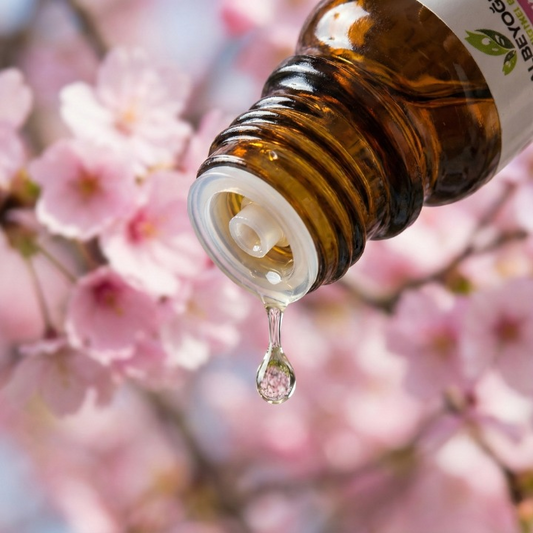 Japon Kirazı Çiçeği (Sakura) Esansiyel Koku Yağı