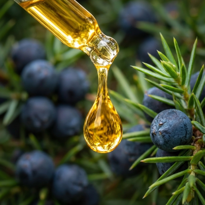 %100 Doğal Ardıç Tohumu Yağı