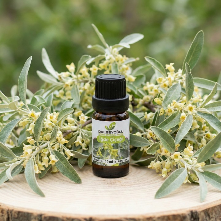 İğde Çiçeği Esansiyel Koku Yağı