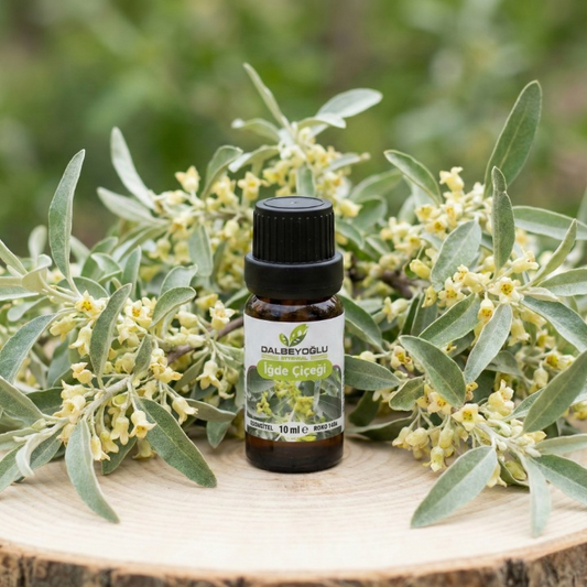 İğde Çiçeği Esansiyel Koku Yağı
