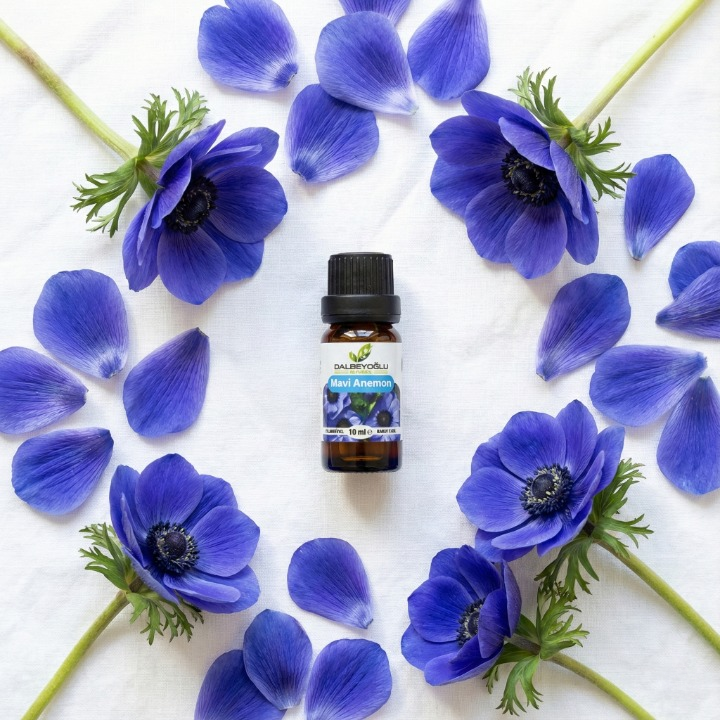 Doğal Mavi Anemon Esansiyel Koku Yağı