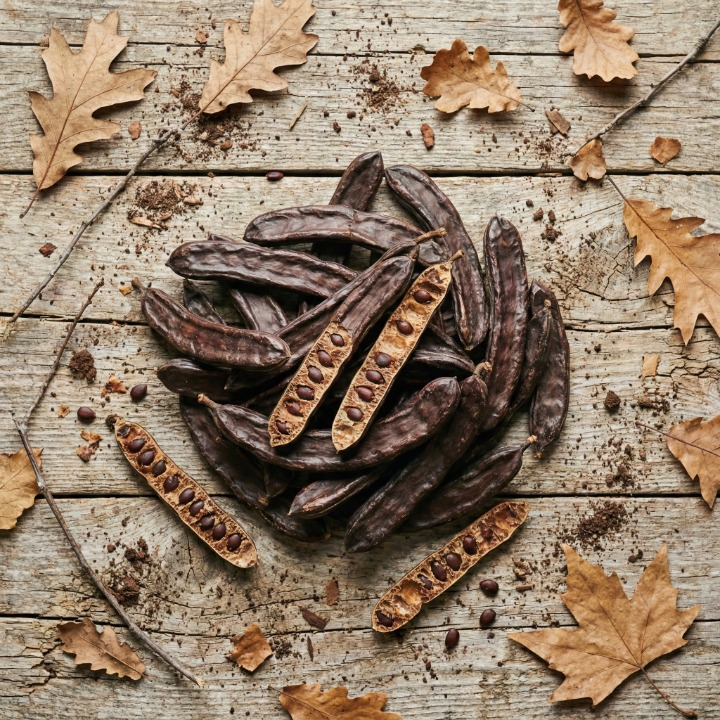 Bütün Keçiboynuzu