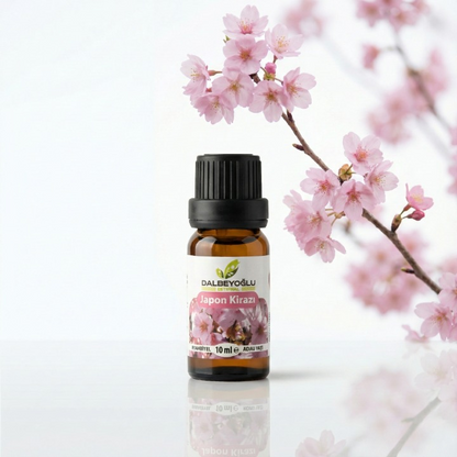 Japon Kirazı Çiçeği (Sakura) Esansiyel Koku Yağı