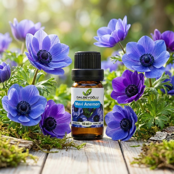 Doğal Mavi Anemon Esansiyel Koku Yağı
